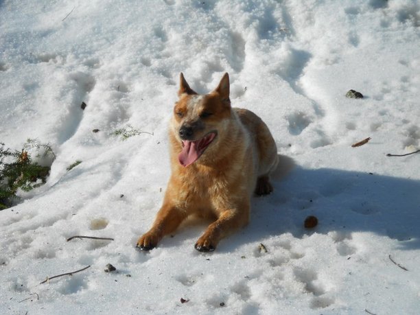 In the snow!